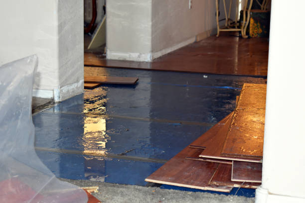 Professional Emergency Water Damage Restoration technician working in Salesville, OH
